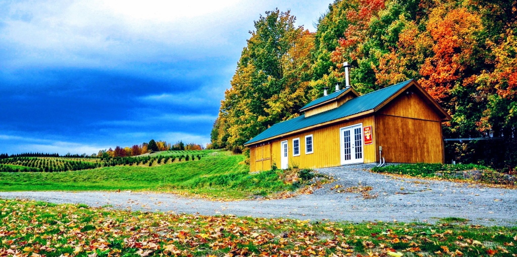 Maple Hill Farm - Barton, Vermont Sugarhouse in Fall